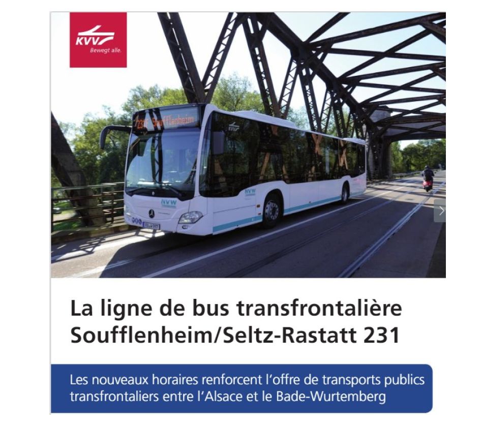 La ligne de bus transfrontalière 231